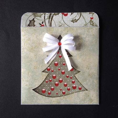 Cd/dvd Gift Envelope by S.Elisabet Osborn Wright