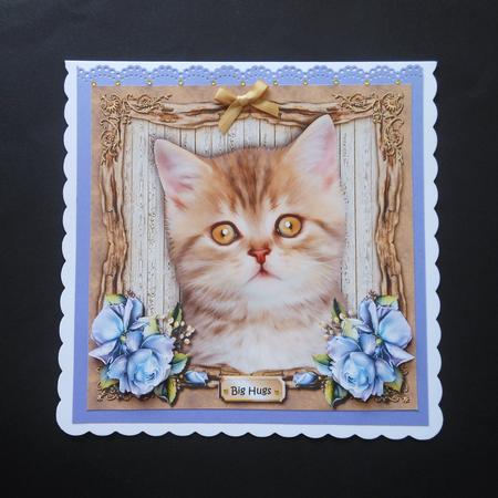 Cute Kitten 2 by S.Elisabet Osborn Wright