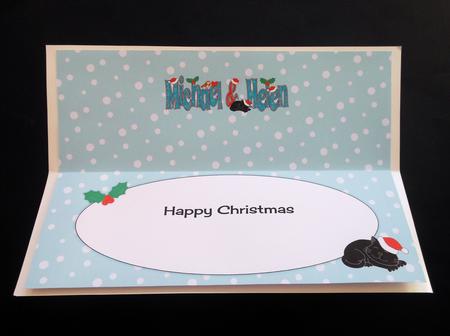 Christmas Names Michael & Helen Large Dl Insert by S.Elisabet Osborn Wright