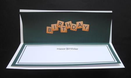 Word Game Birthday Matching Large Dl Insert by S.Elisabet Osborn Wright