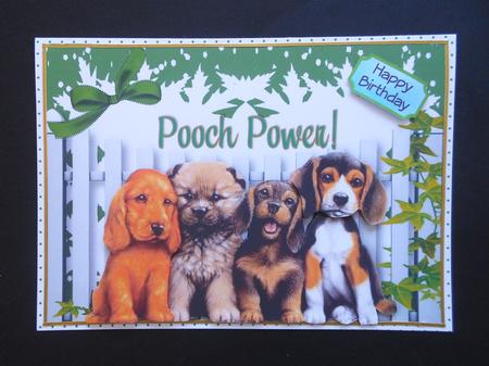 Pooch Power, Cute Little Dogs by S.Elisabet Osborn Wright