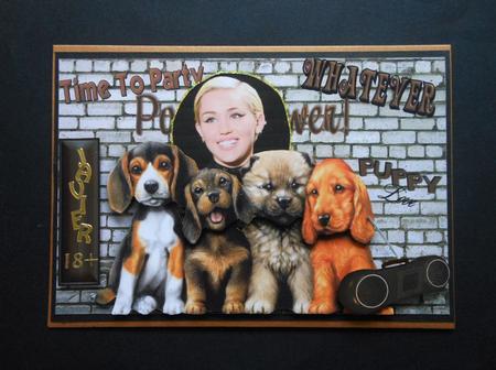 Who Says Dogs Don't Have Fun! by S.Elisabet Osborn Wright