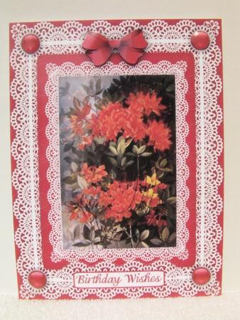 Rhododendrons 'n Lace Pyramid Card Front by Shelley Moniz