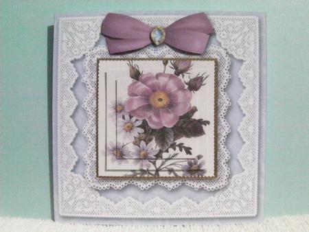 Pink Dog Rose Square Lace Card by Shelley Moniz