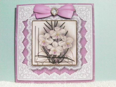 Pink Orchids Square Lace Card by Shelley Moniz