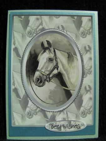 Horse Pyramid Card Front 2 by Shelley Moniz