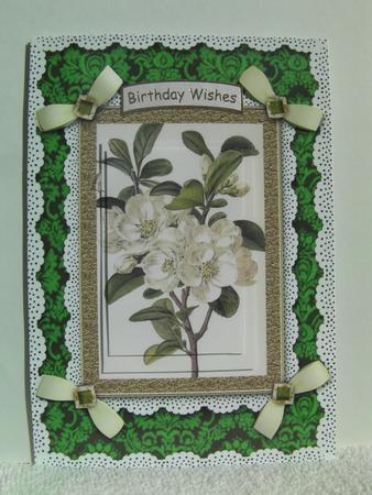 Fresh Blossom A5 Lace N Bows Card Front Step by Step by Shelley Moniz