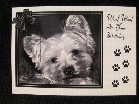 One for the Dog Lovers by Shelley Moniz