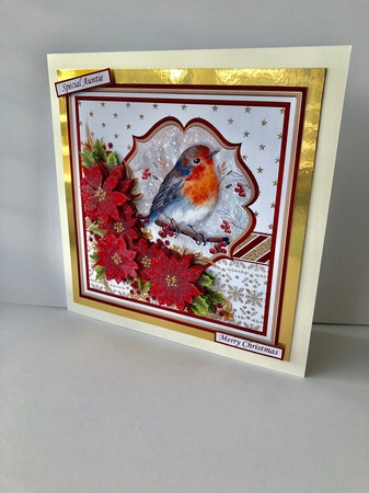 ROBIN & POINSETTIA 7.5 Christmas Decoupage & Insert Kit by Sheryl Tully