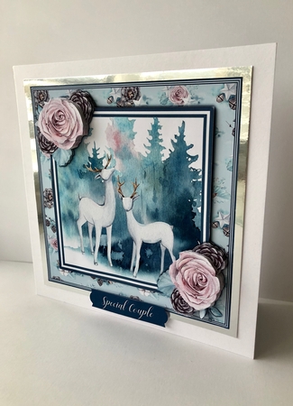 Christmas Deer Featured Gallery Photo