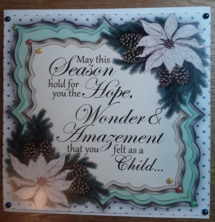 Hope and Wonder  With Poinsettias  by Shirley Taylor