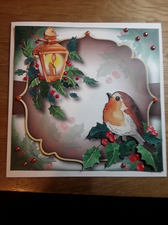 The Robin & The Lamp by Shirley Taylor