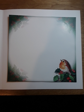 The Robin & The Lamp by Shirley Taylor