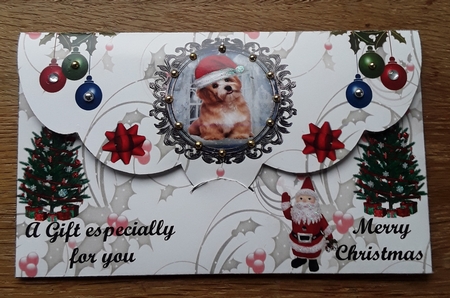 SANTA LEFT THIS FOR YOU by Shirley Taylor