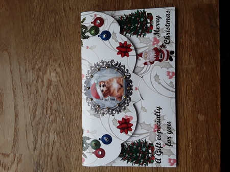 SANTA LEFT THIS FOR YOU by Shirley Taylor