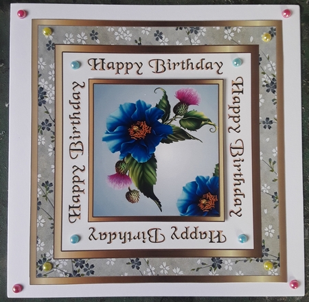 SC Blue poppy by Shirley Taylor