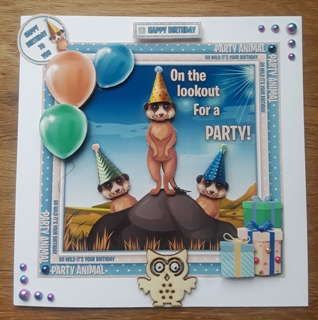 Go Wild Its Your Birthday by Shirley Taylor