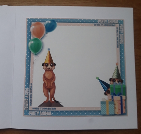 Go Wild Its Your Birthday by Shirley Taylor