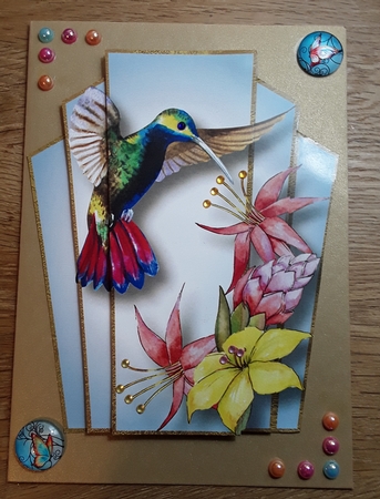 Art Deco Watercolour Stacker - Hummingbird by Shirley Taylor