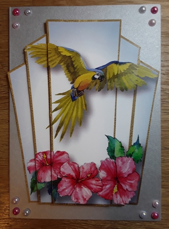 Art Deco Watercolour Stacker - Parrot by Shirley Taylor