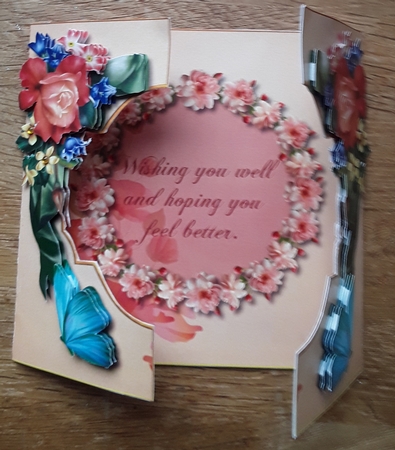 Get Well Soon - Gatefold Card by Shirley Taylor