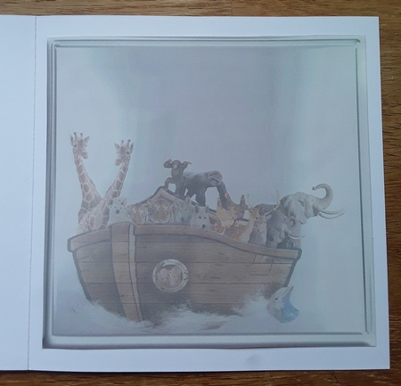 the Ark by Shirley Taylor