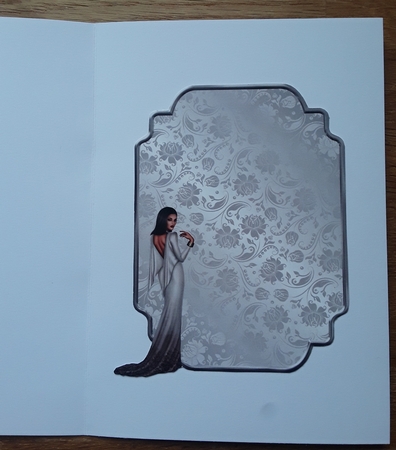 Matching blank insert for the design sheet - Elegant Christmas by Shirley Taylor