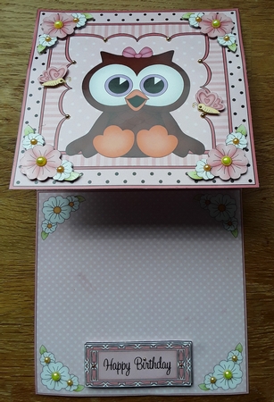 3D Easel Card Mini Kit - Cute Little Hoot Owl by Shirley Taylor