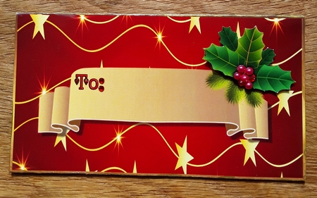 Christmas Money Wallet by Shirley Taylor