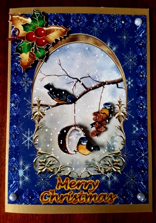 Blue Tits & Snow by Shirley Taylor