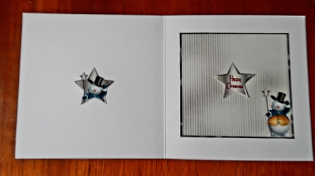 Matching blank insert for the design sheet - Snow Christmas 1 by Shirley Taylor