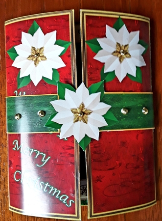 Peek-a-Boo Christmas by Shirley Taylor