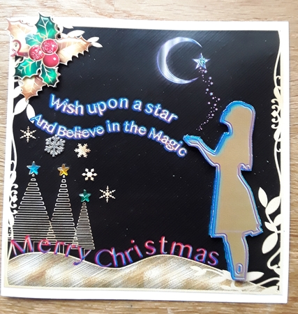 Christmas Star by Shirley Taylor