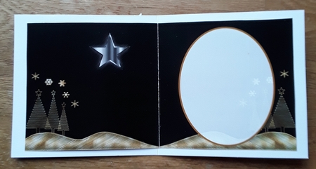 Christmas Star by Shirley Taylor