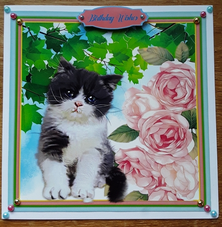 Gorgeous Kitty in the Roses by Shirley Taylor
