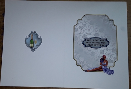 Matching insert for the design sheet - Martini Nights 2 by Shirley Taylor