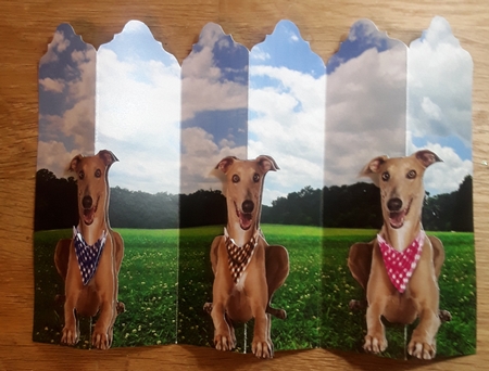 Greyhounds - Over The Edge Concertina Card Kit With Decoupage, Matching Envelope & Greetings Tags by Shirley Taylor
