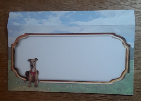 Greyhounds - Over The Edge Concertina Card Kit With Decoupage, Matching Envelope & Greetings Tags by Shirley Taylor