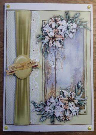 A5,  Beautiful Lillys by Shirley Taylor