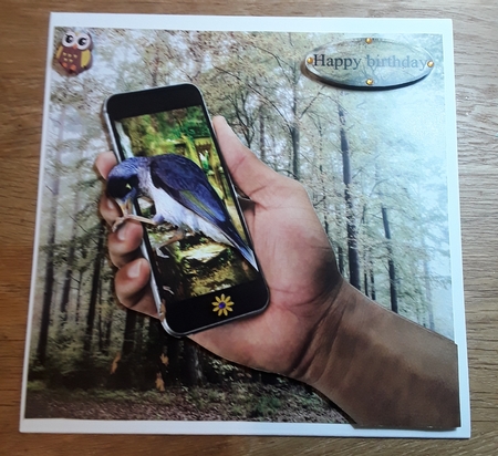 bird in phone by Shirley Taylor