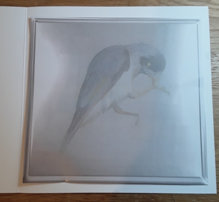 bird in phone by Shirley Taylor