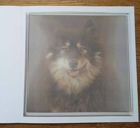dog in a frame by Shirley Taylor