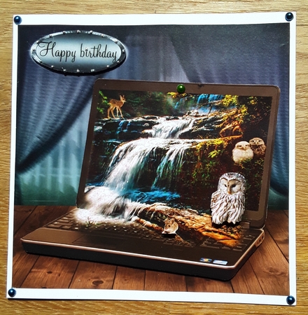 owls at the falls  by Shirley Taylor