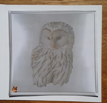 owls at the falls  by Shirley Taylor