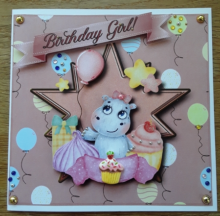 Hip-Hippo Ray its your Birthday  2 - Girl by Shirley Taylor