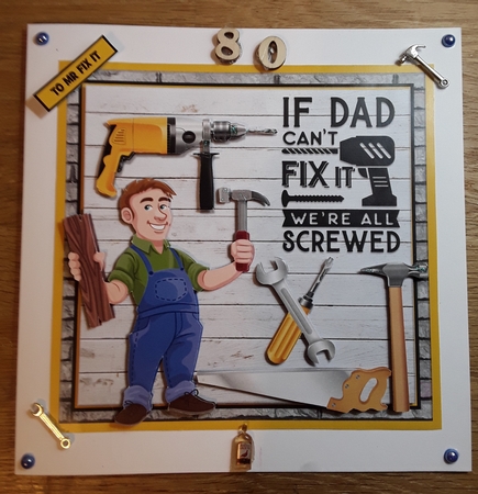 CAN HE FIX IT? by Shirley Taylor