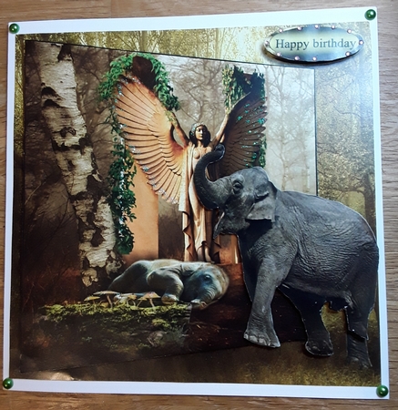 the angel of the forest by Shirley Taylor