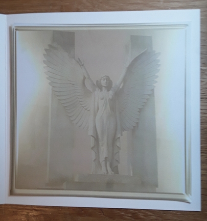 the angel of the forest by Shirley Taylor