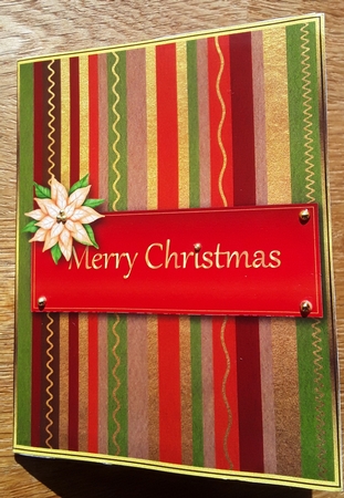 On Your Bike Santa!  - Double Window Card by Shirley Taylor