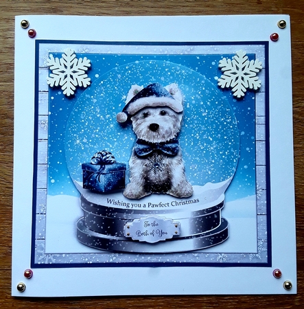 PAWFECT CHRISTMAS by Shirley Taylor
